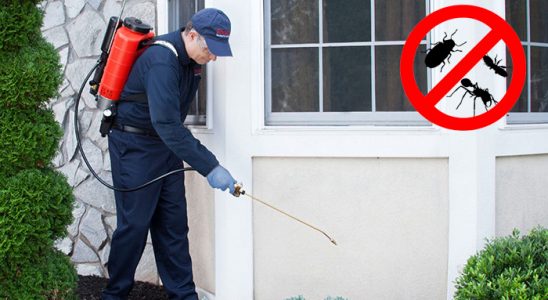 Altıevler Böcek ve Haşere İlaçlama böcek ilaçlama ve haşere kontrolü — ilaclama-tr.com